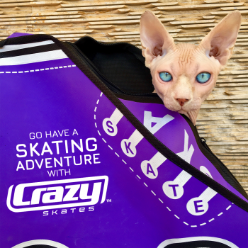 CRAZY Retro Skate Bag!